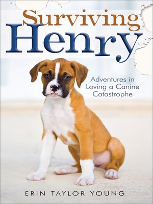 cover image of Surviving Henry